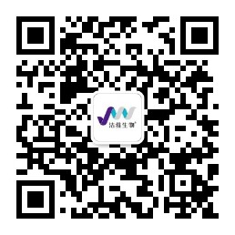WeChat Official Account