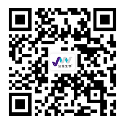 WeChat Channels