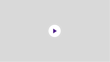 Brand Videoicon