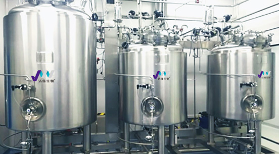 Provided vaccine bulk formulation systems and CIP systems to the only domestic manufacturer currently selling a domestically produced inactivated Japanese encephalitis vaccine; the scope included formulation systems for bulk Hib, conjugate protein, and Hepatitis A vaccines, as well as CIP stations for the fill-finish stage.