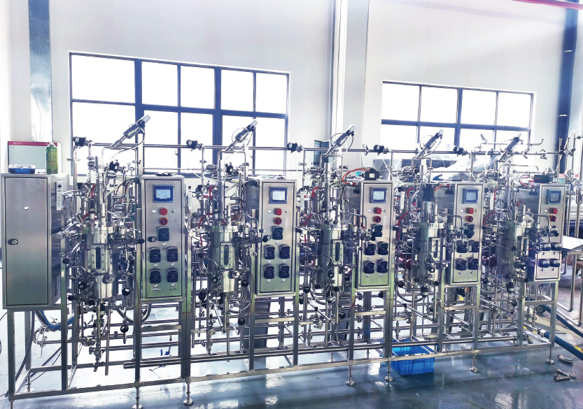 Biological fermentation system