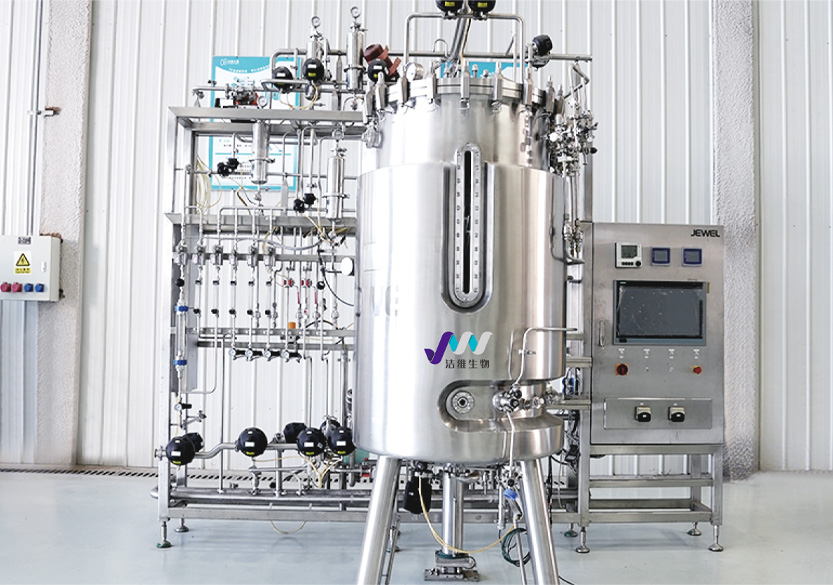 Stainless Steel Bio-fermentation System