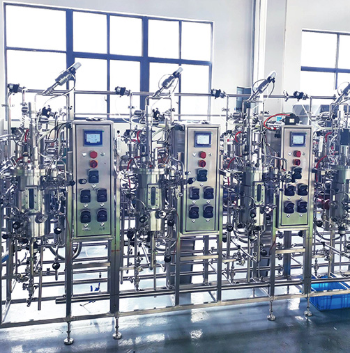 Biological fermentation system