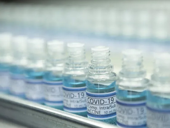 Antibody production