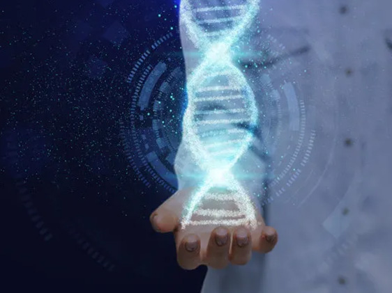 Industrialization of synthetic biology